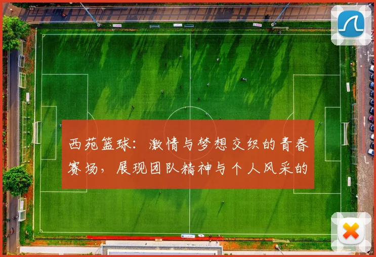 西苑篮球：激情与梦想交织的青春赛场，展现团队精神与个人风采的完美结合