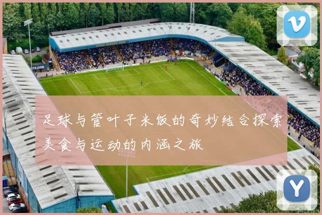足球与管叶子米饭的奇妙结合探索美食与运动的内涵之旅