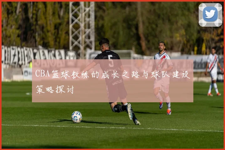 CBA篮球教练的成长之路与球队建设策略探讨