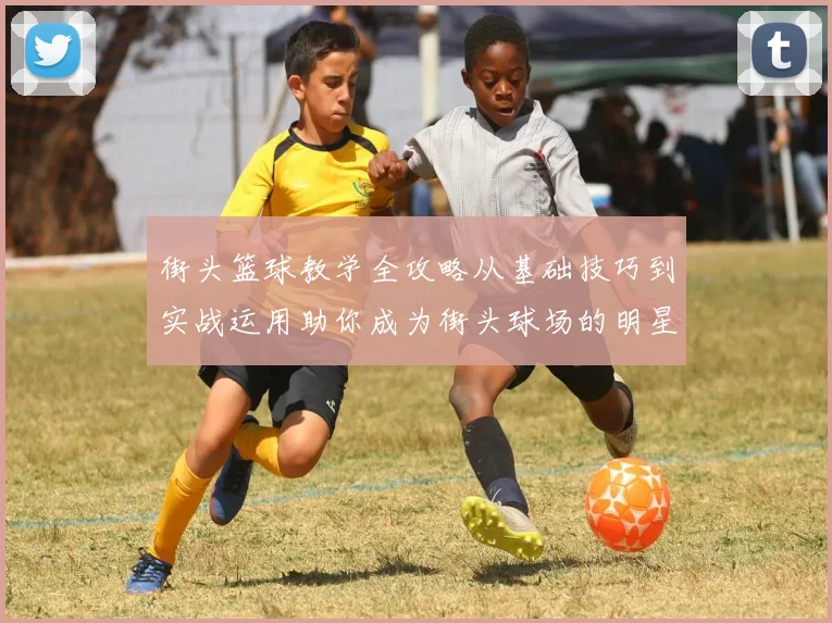 街头篮球教学全攻略从基础技巧到实战运用助你成为街头球场的明星